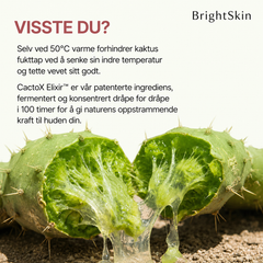 Brightskin PoreReset™ - behandling for hudormer og synlige porer